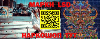 PSILOCYBIN Камышлов