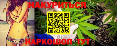 прущие грибы Канаш