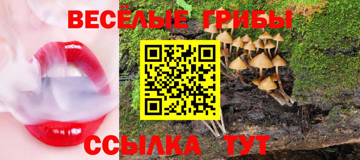 Бирск  Галлюциногенные грибы Cubensis  хочу наркоту  Вход с VPN 